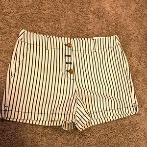 NWT size 6 Loft shorts